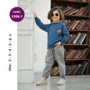 بلوز تک پسرانه - کد 1206.1