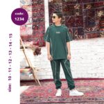 تیشرت شلوار پسرانه کد 1234