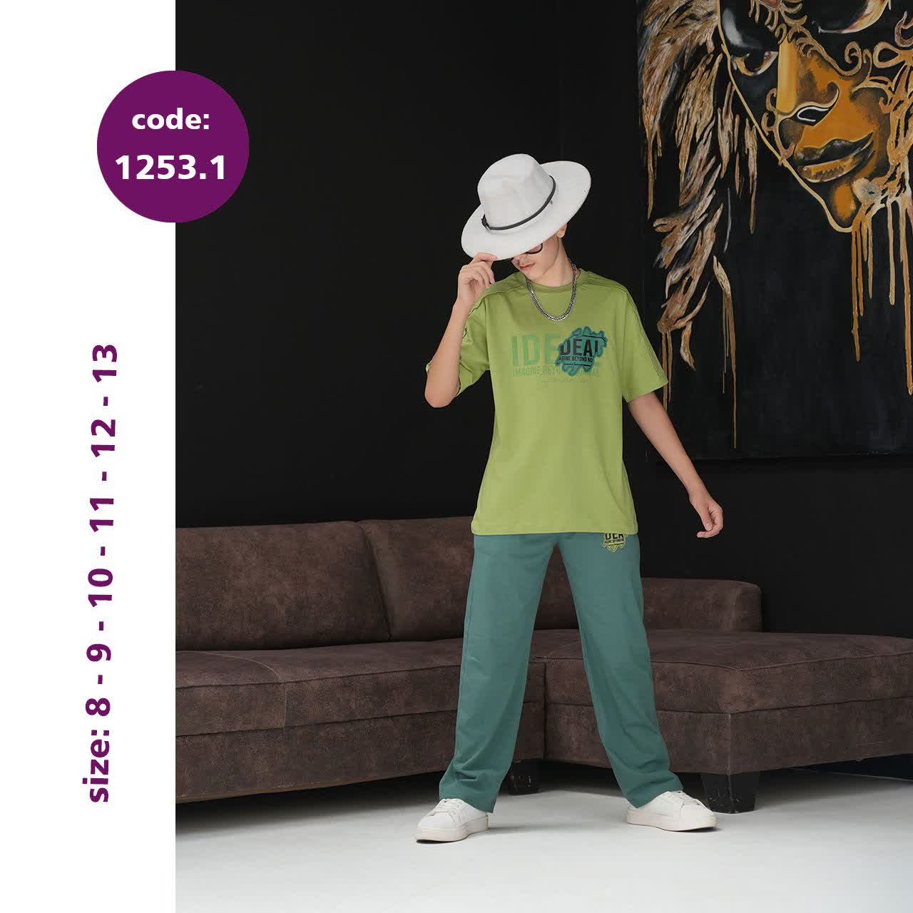 تیشرت شلوار پسرانه کد 1253.1 تیشرت شلوار پسرانه کد 1253.1